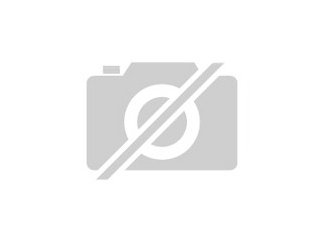 Putzer in der Oberlausitz gesucht